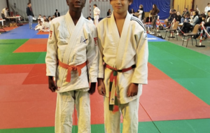 Benjamins et poussins en janvier