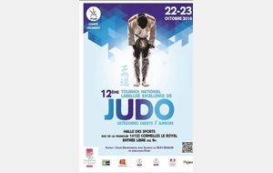 Tournoi de Cormelles le Royal