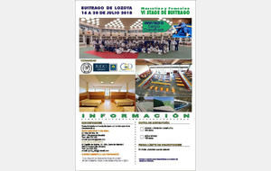 Stage JUDO été avec Joaquin Ruiz