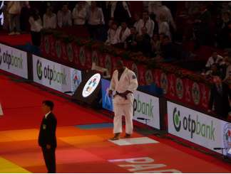 Bercy 2013
Teddy Riner