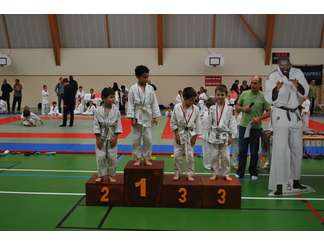 Tournoi de Lyre 22/11/2014