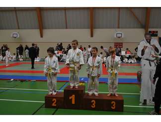 Tournoi de Lyre 22/11/2014