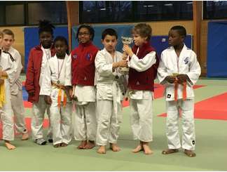 Tournoi de La Saussaye Mini Poussin(e)s et Poussin(e)s 31/01/2016