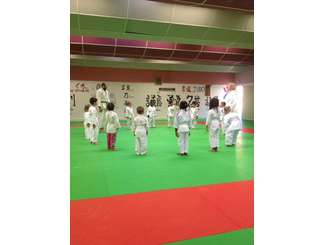 Cours Baby Judo Septembre 2016