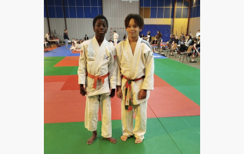 Benjamins et poussins en janvier